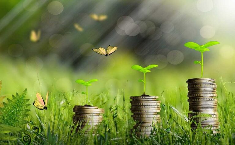Ekonomi Hijau 2026: Peluang Bisnis Berkelanjutan dan Strategi Ramah Lingkungan